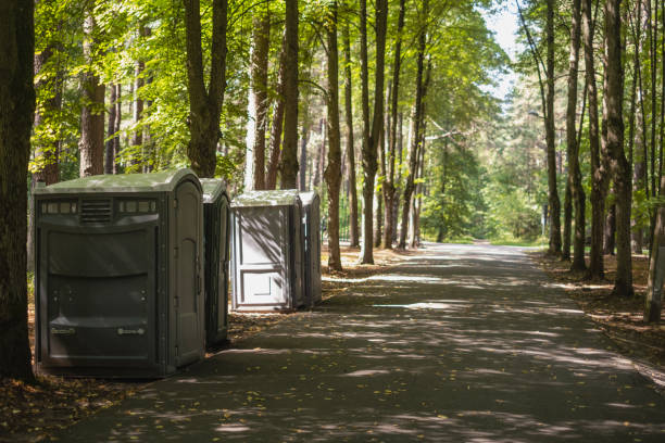 Best Affordable portable toilet rental  in Rock Rapids, IA